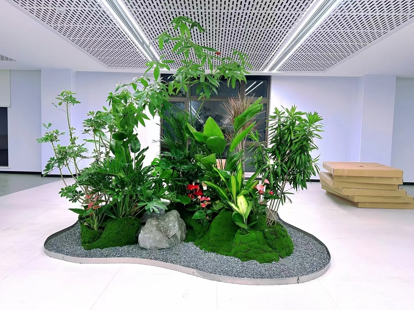 专业花木租摆，宁波北仑的绿色之选